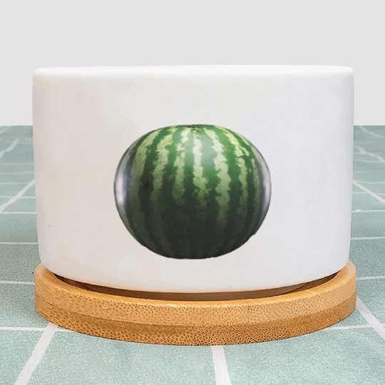 Watermelon Realistic Plant Pots