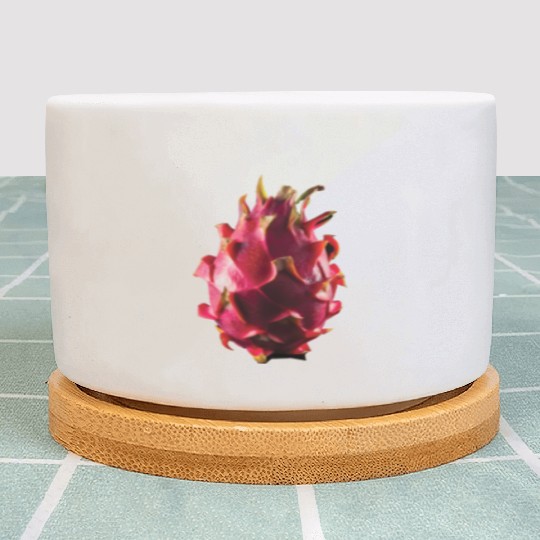 Dragon Fruit Realistic Plant Pots