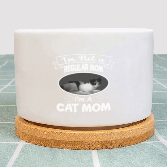 I m Not a Regular Mom I m A Cat Mom Plant Pots