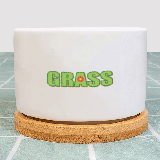 grass Plant Pots