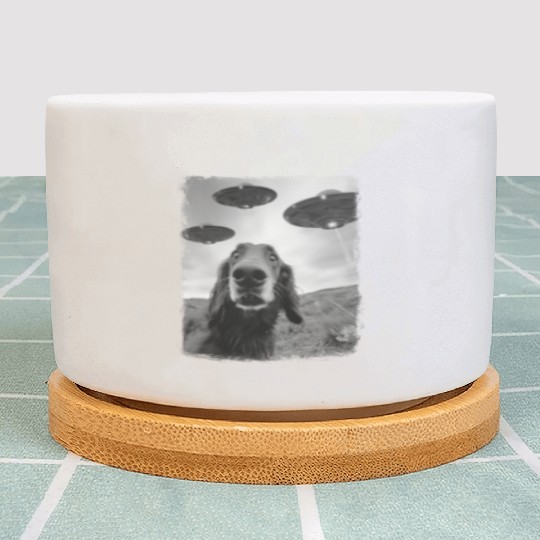 Irish Setter Dog UFO Alien Extraterrestrial Selfie Plant Pots