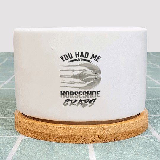 Horseshoe Crab Plant Pots