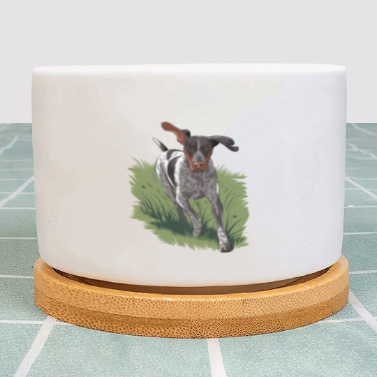 German Shorthaired Pointer Running In Field Plant Pots