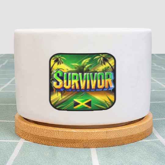 multi-color sneakers bring Plant Pots