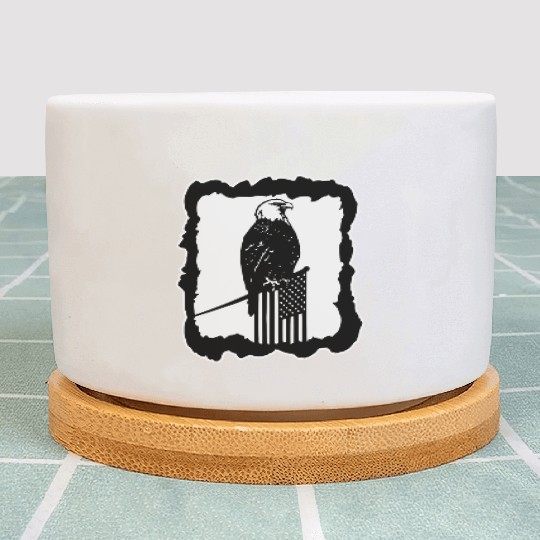 Framed Eagle On Flag Pole LIKE US ON FACEBOOK # Plant Pots