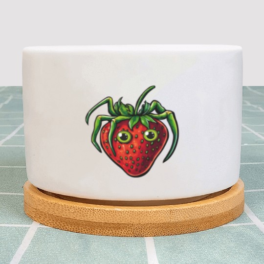 Strawberry Spider Strawberry Spider Plant Pots