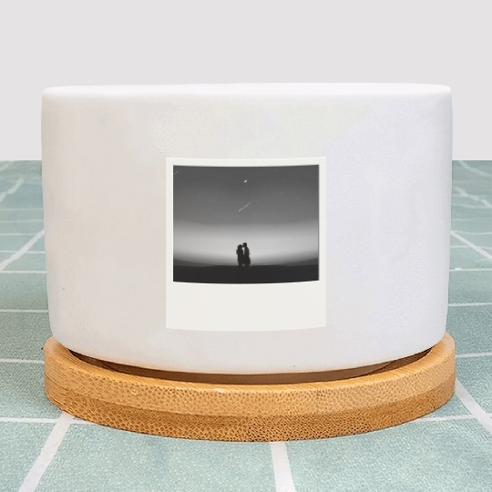 Starry Night Embrace Couple Polaroid Plant Pots