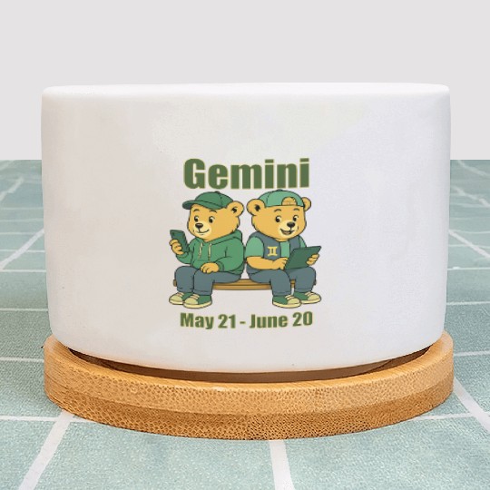 Gemini Bear Plant Pots