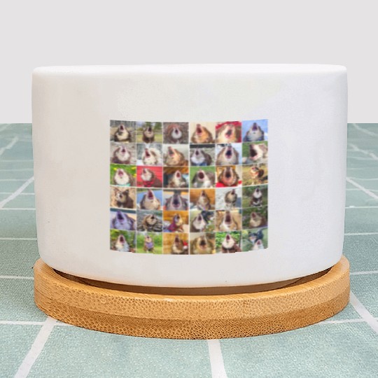 Bark Collage Plant Pots