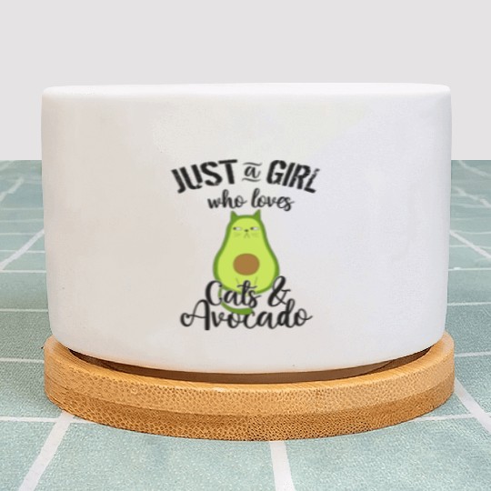 Avocado Cat with Attitude Plant Pots