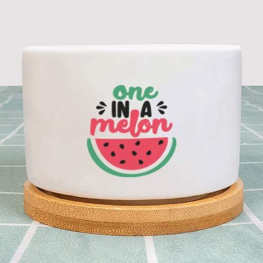 One in a melon Plant Pots
