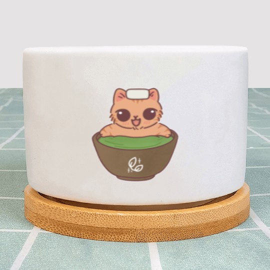 Kawaii Cat in Matcha Onsen Plant Pots