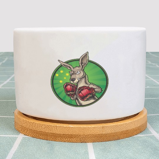 Boxing Kangaroo Plant Pots
