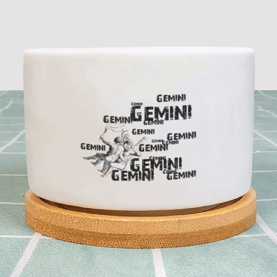 gemini Plant Pots