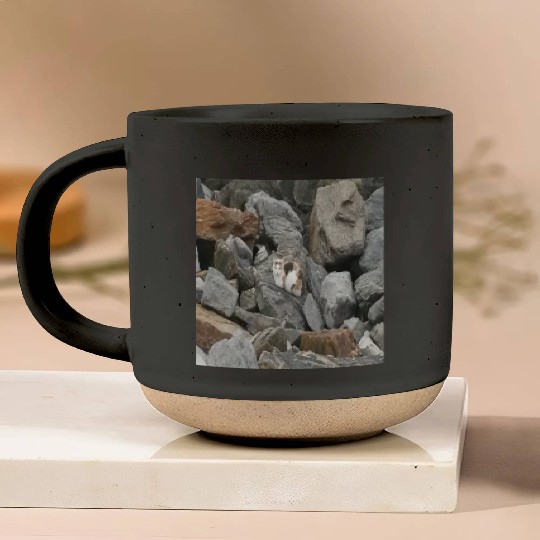 Camouflage Cat On Rocks Gifts for Animal Lovers Pottery Mugs