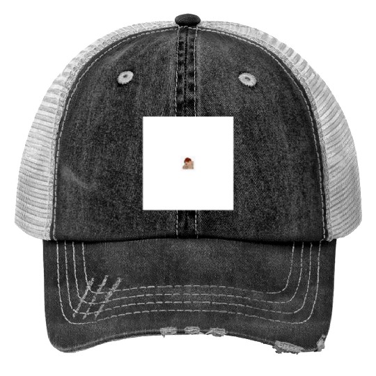 Discover Taylor (6) Print Trucker Hats