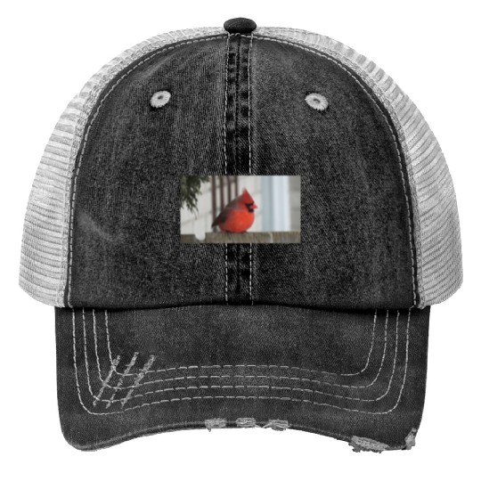 Brilliant Cardinal Bird 2 Print Trucker Hats