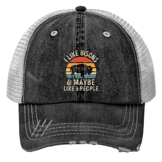 I Like Bisons and Maybe 3 People Retro Sunset Vint Print Trucker Hats