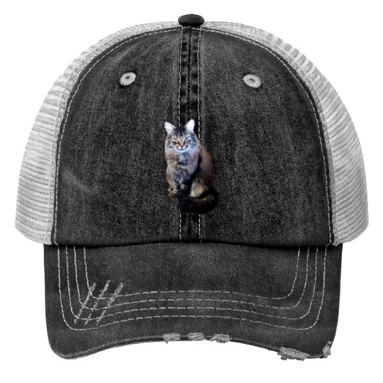 Indie the Cute Cat Print Trucker Hats