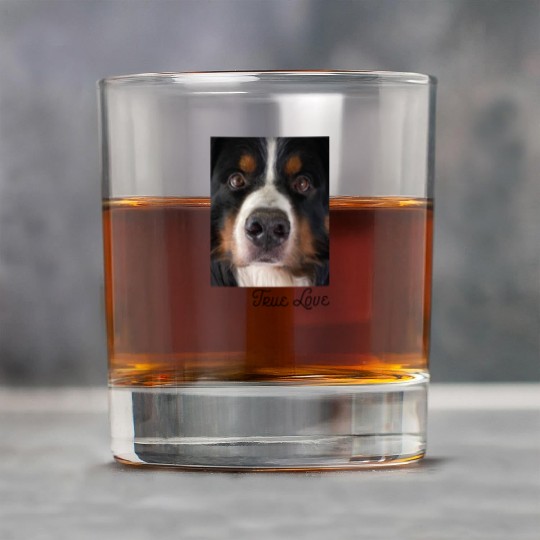 Bernese Mountain Dog Rock Glasses