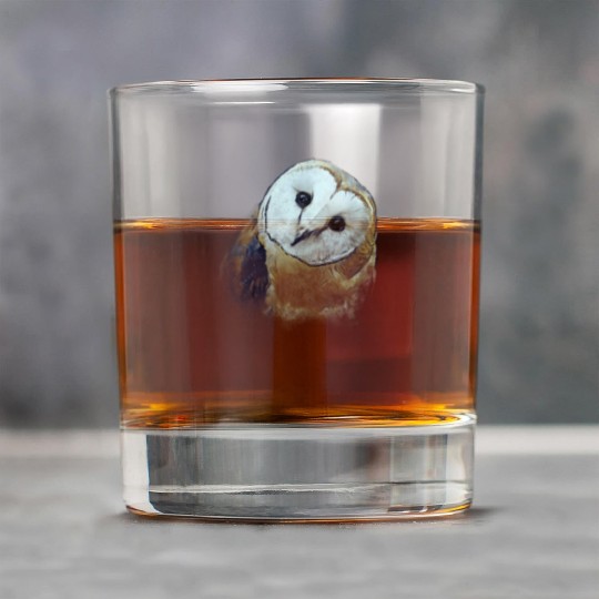 Barn Owl Painting Owl Rock Glasses