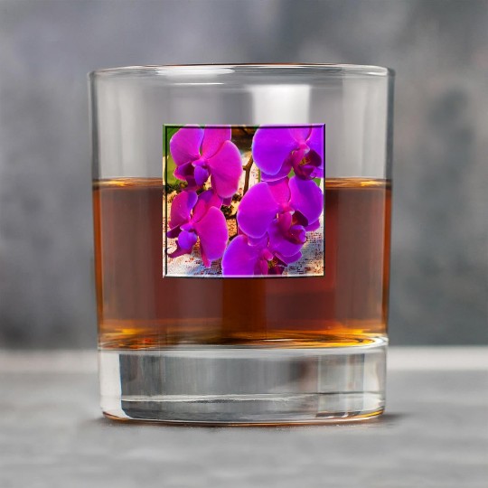Orchid 4 Rock Glasses