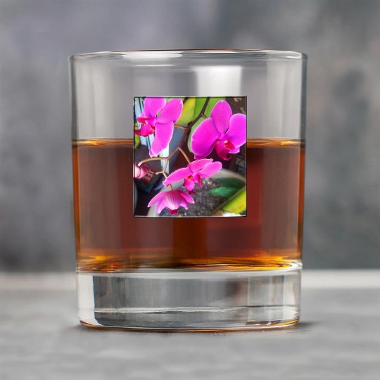 Orchid 1 Rock Glasses