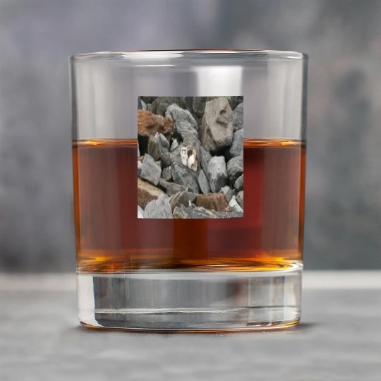 Camouflage Cat On Rocks Gifts for Animal Lovers Rock Glasses