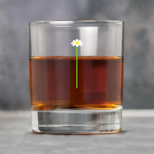 Small Daisy Flower White Decorative Nature Design Rock Glasses