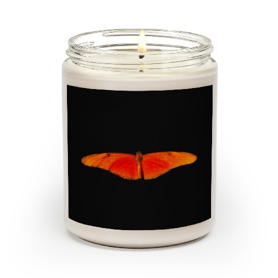 butterfly schmetterlinge insect insekten animal ti Scented Candles