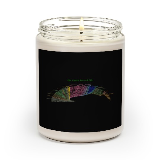 Evolution Cousin Tree of Life for Dark Garments Scented Candles