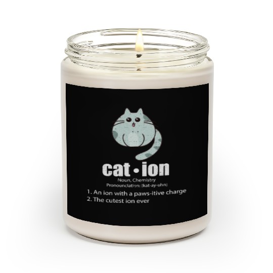 Cation Cat Science Pun Chemistry Nerd Geek Scented Candles