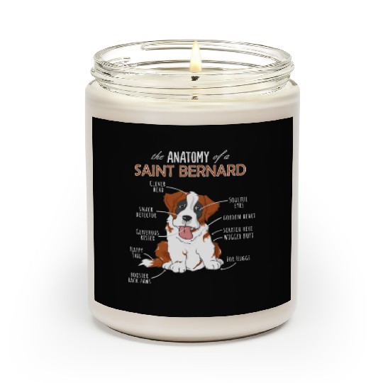 The Anatomy Of A Saint Bernard - Funny Dog Scented Candles