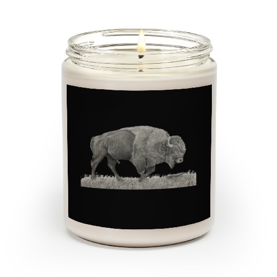 Buffalo Drawing Scented Candles