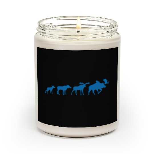 Moose Evolution Scented Candles