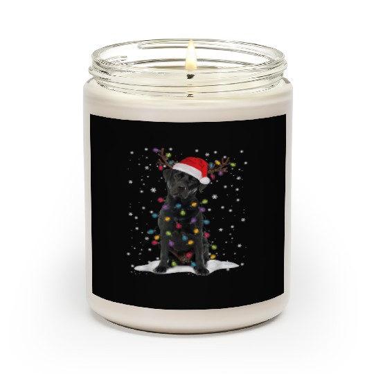 Black Lab Labrador Christmas Tree Light Pajama Dog Scented Candles