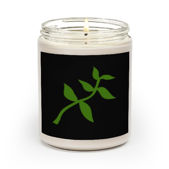 plant olive branch Scented Candles