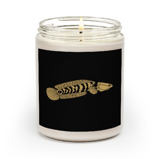 black and gold channa snakehead fish illustrations Scented Candles