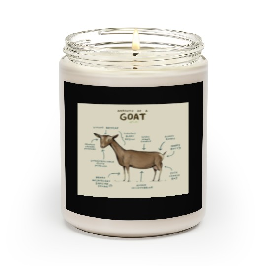 anatomy of a goat greeting card Scented Candles