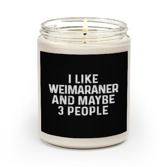 I Like Weimaraner And Maybe 3 People Dog Lover Scented Candles