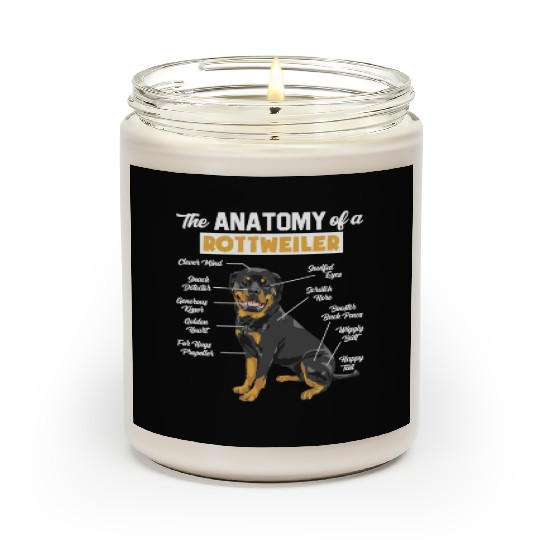 Rottweiler The Anatomy Of A Rottweiler Dog Lover Scented Candles