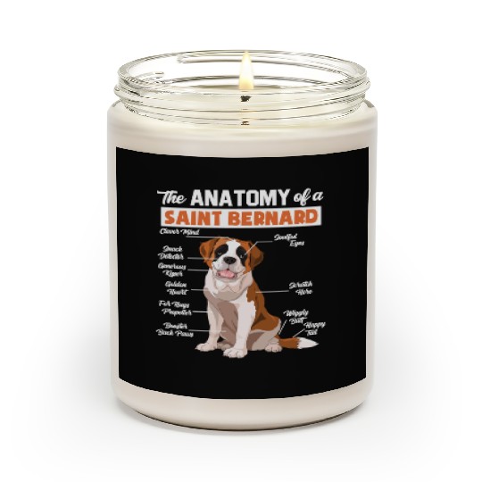 Saint Bernard Scented Candles The Anatomy of a Saint Bernard
