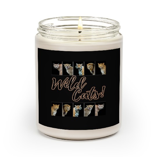 WILDCATS! | Lion, Leopard, Cheetah, Puma, Tiger Scented Candles