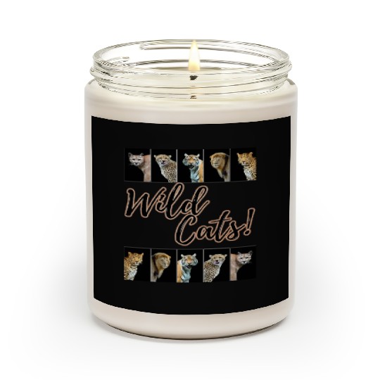 WILDCATS! | Lion, Leopard, Cheetah, Puma, Tiger Scented Candles