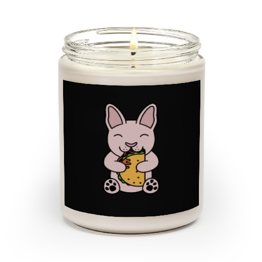 Sphynx Cat Taco Lover Scented Candles