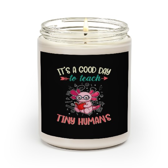 Good Day To Teach Tiny Humans Elementary Teacher Scented Candles