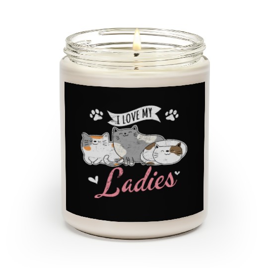 I Love My Ladies Cat Owner Cute Cat Mom Love Cats Scented Candles