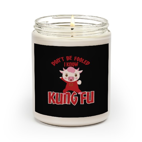Dont Be Fooled I Know Kung Fu Scented Candles