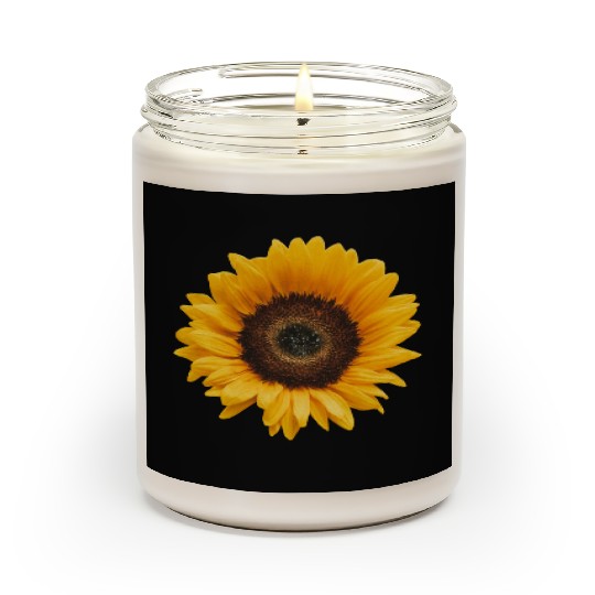 Sunflower Sun Flower Garden Floral Womens Fall Scented Candles