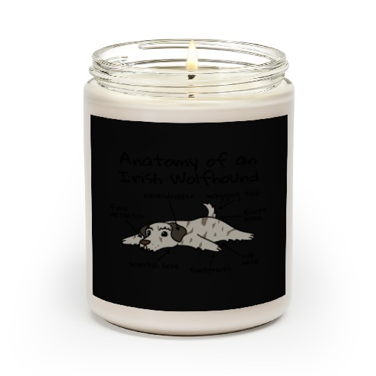 Anatomy Of A Irish Wolfhound Scented Candles